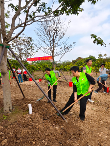 领导植树.jpg