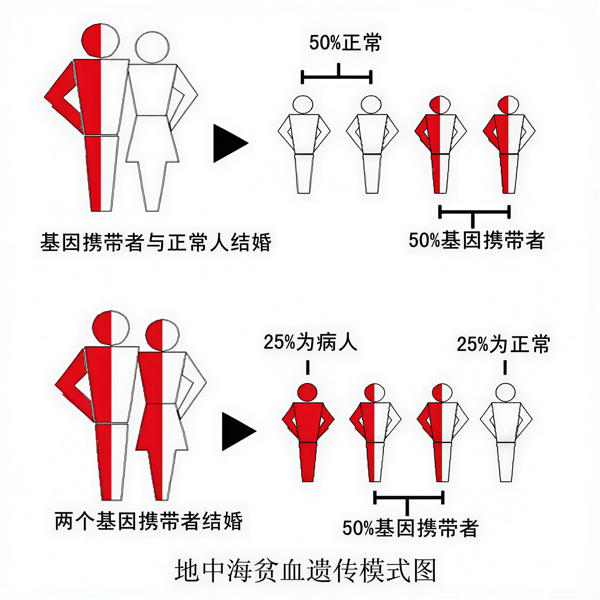 图片2 (1).png